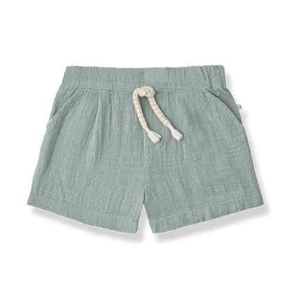 1+ In The Family | Short Verges | Iceberg